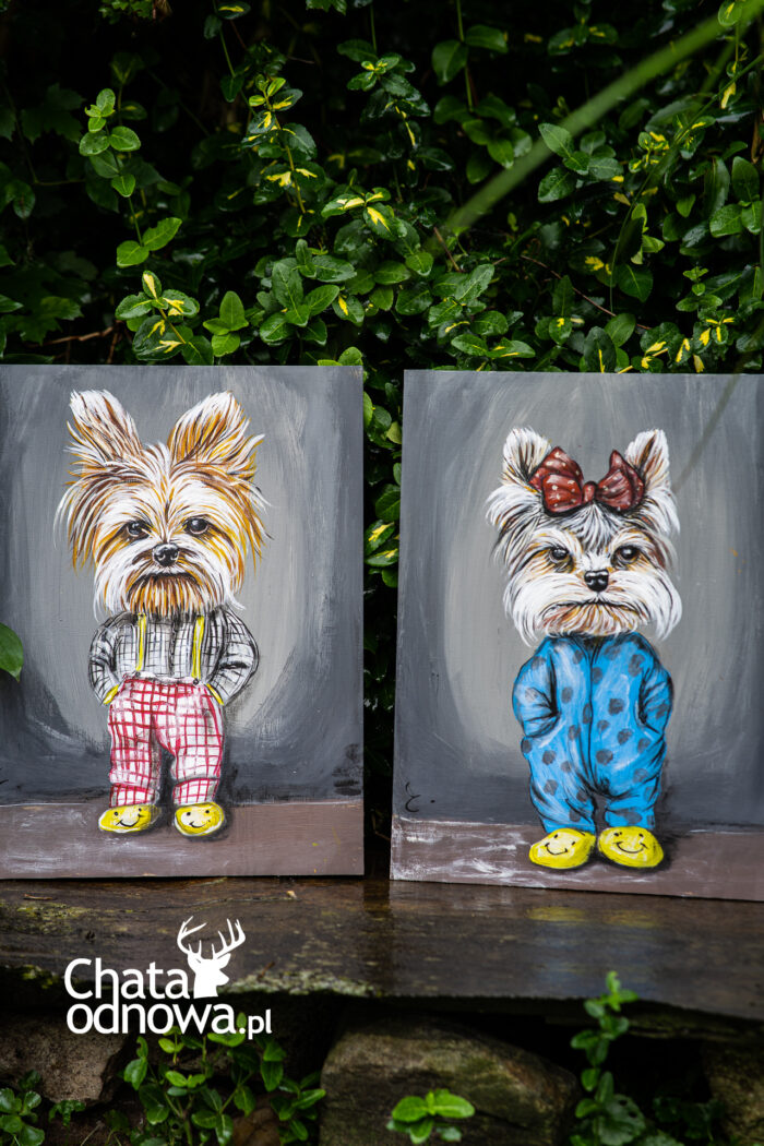 Yorki - śpiochy - obrazek 3